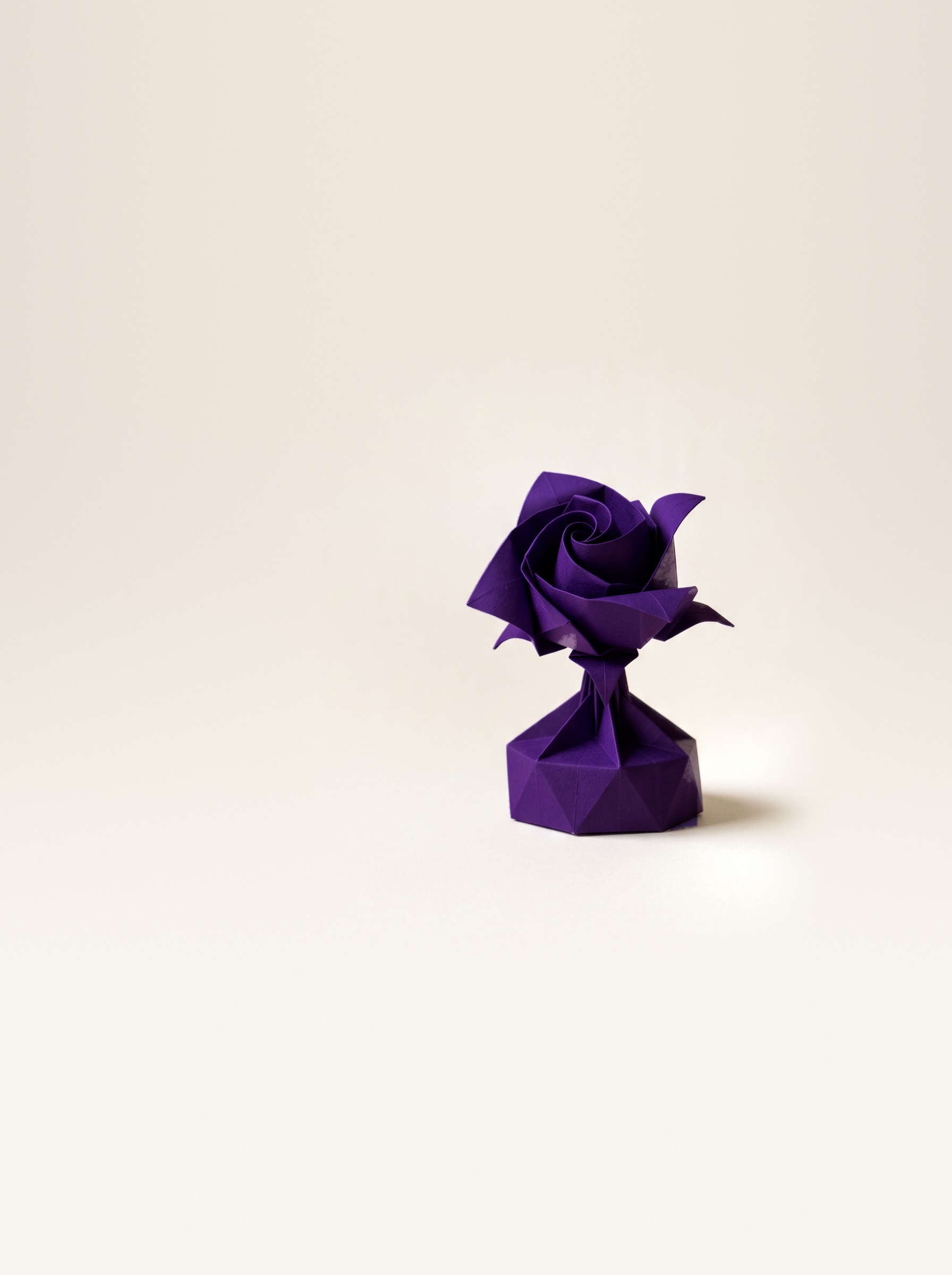 Rose Purple, photographed from the front against a neutral studio ground