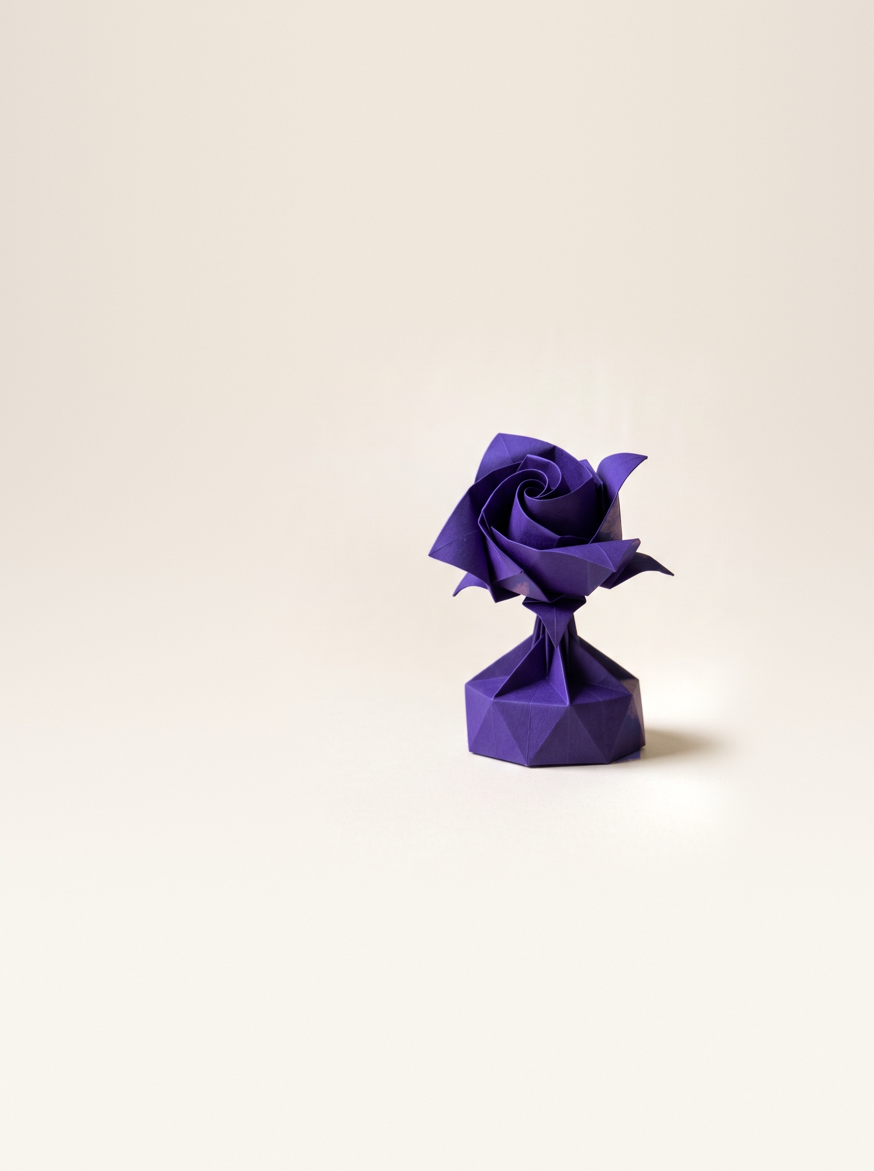 Rose Violet, photographed from the front against a neutral studio ground