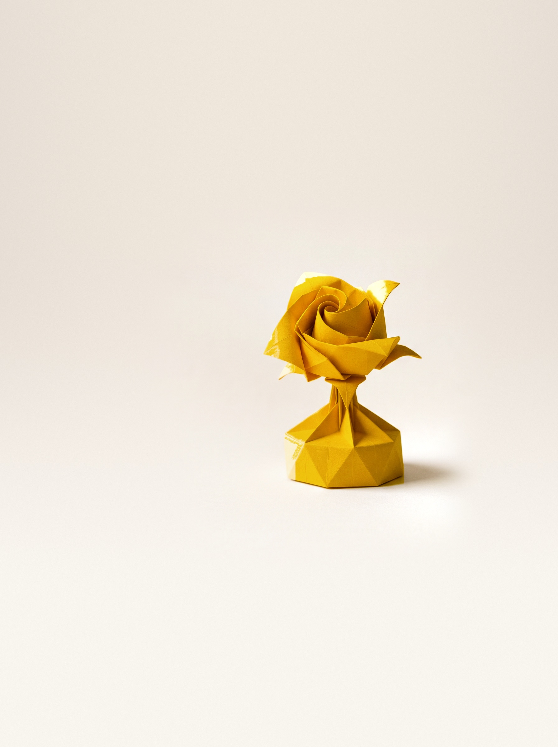 Rose Yellow, photographed from the front against a neutral studio ground